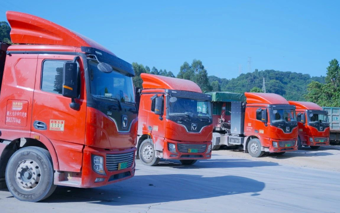 零碳先鋒 | 百臺徐工新能源助力福建客戶成功創富！